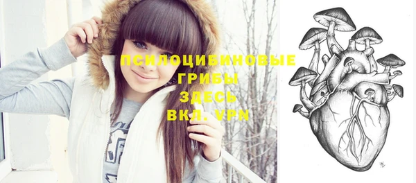apvp Болхов