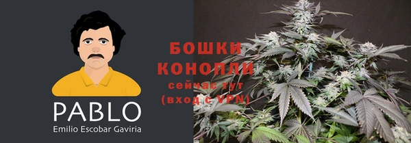 apvp Пестово