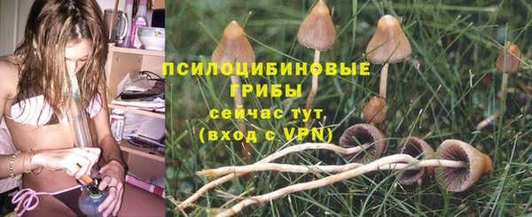 mdpv Чекалин
