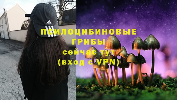 крисы Осташков