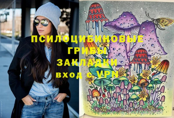 apvp Болхов