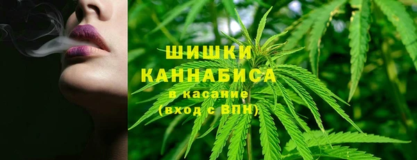 ГАЛЛЮЦИНОГЕННЫЕ ГРИБЫ Болохово