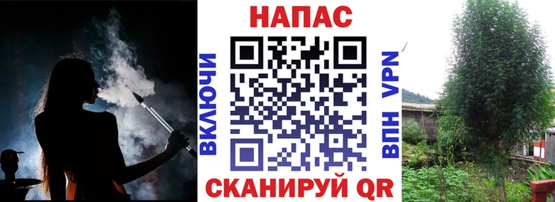 Конопля THC 21%  Тотьма 